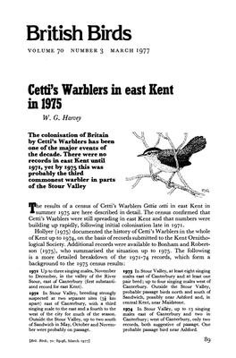 Cetti's Warblers in East Kent in 1975 W