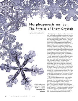 Morphogenesis on Ice: the Physics of Snow Crystals