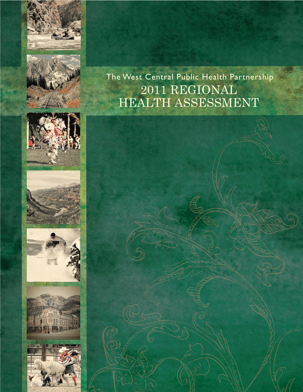 2011 Regional Health Assessment Executive Summary
