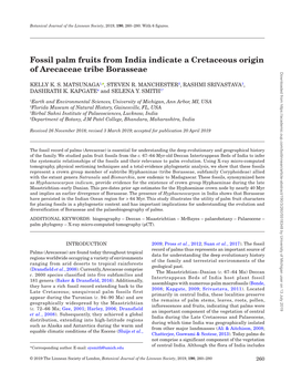 Fossil Palm Fruits from India Indicate a Cretaceous Origin of Arecaceae Tribe Borasseae