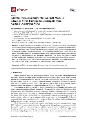 Morbillivirus Experimental Animal Models: Measles Virus Pathogenesis Insights from Canine Distemper Virus