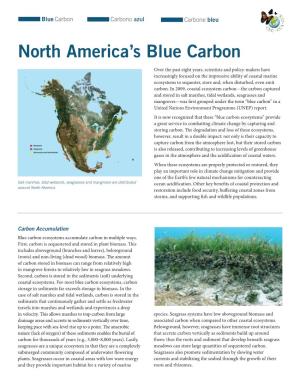 North America's Blue Carbon