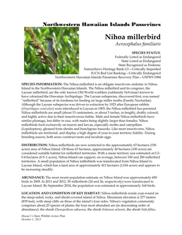 Nihoa Millerbird Acrocephalus Familiaris