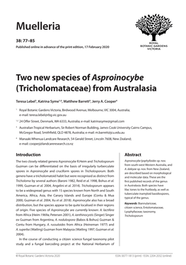 Two New Species of Asproinocybe (Tricholomataceae) from Australasia