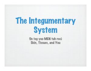 The Integumentary System (In Teg Yoo MEN Tuh Ree) Skin, Tissues, and You � the Integumentary System Is the Body’S Outer Covering