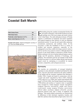 Coastal Salt Marsh