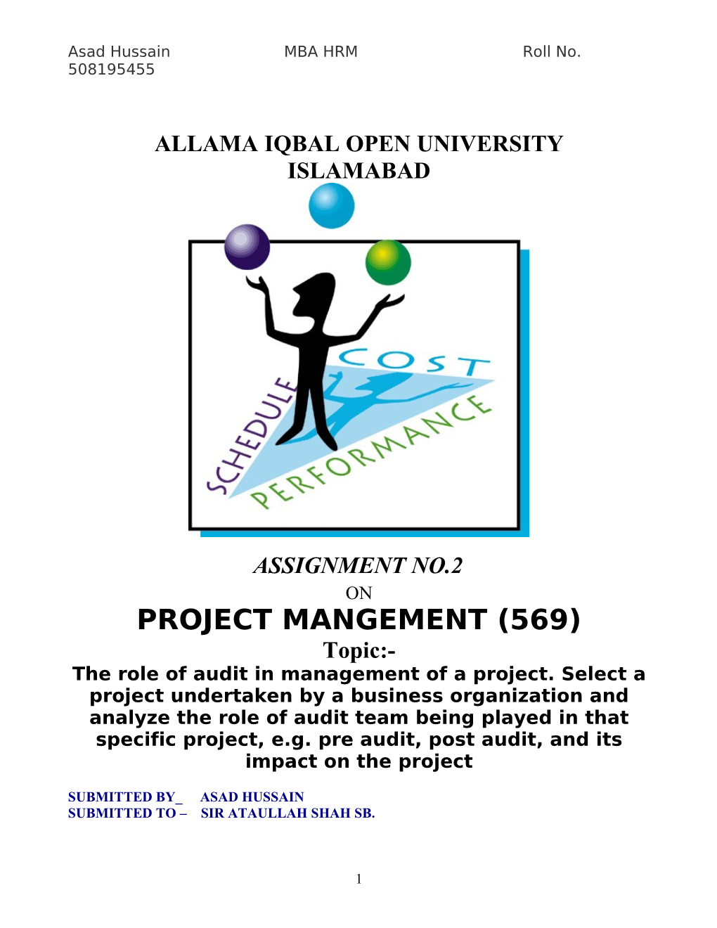 Project Audit Process