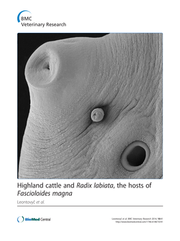 Fascioloides Magna Leontovyč Et Al