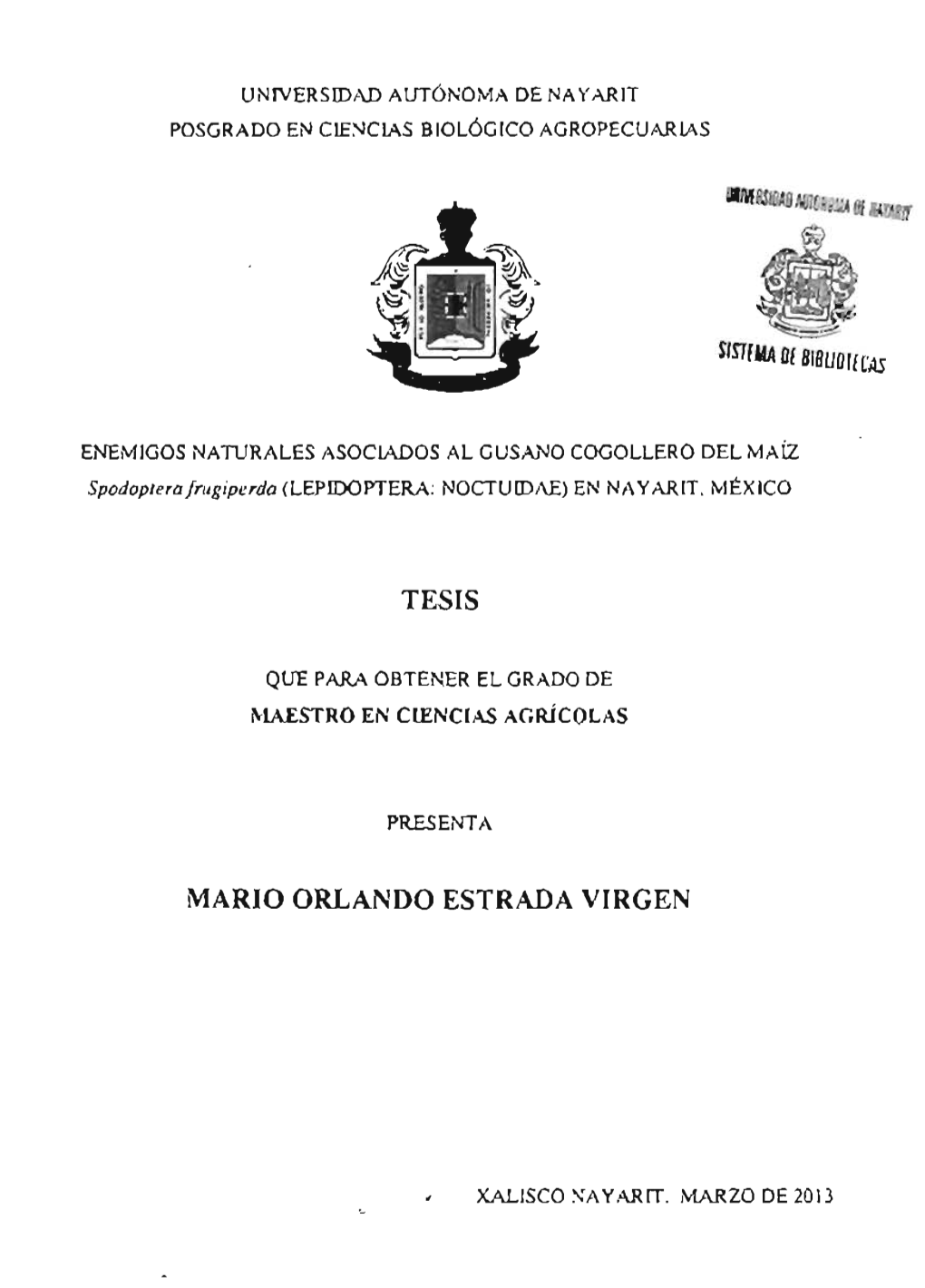 Tesis Mario Orlando Estrada Virgen