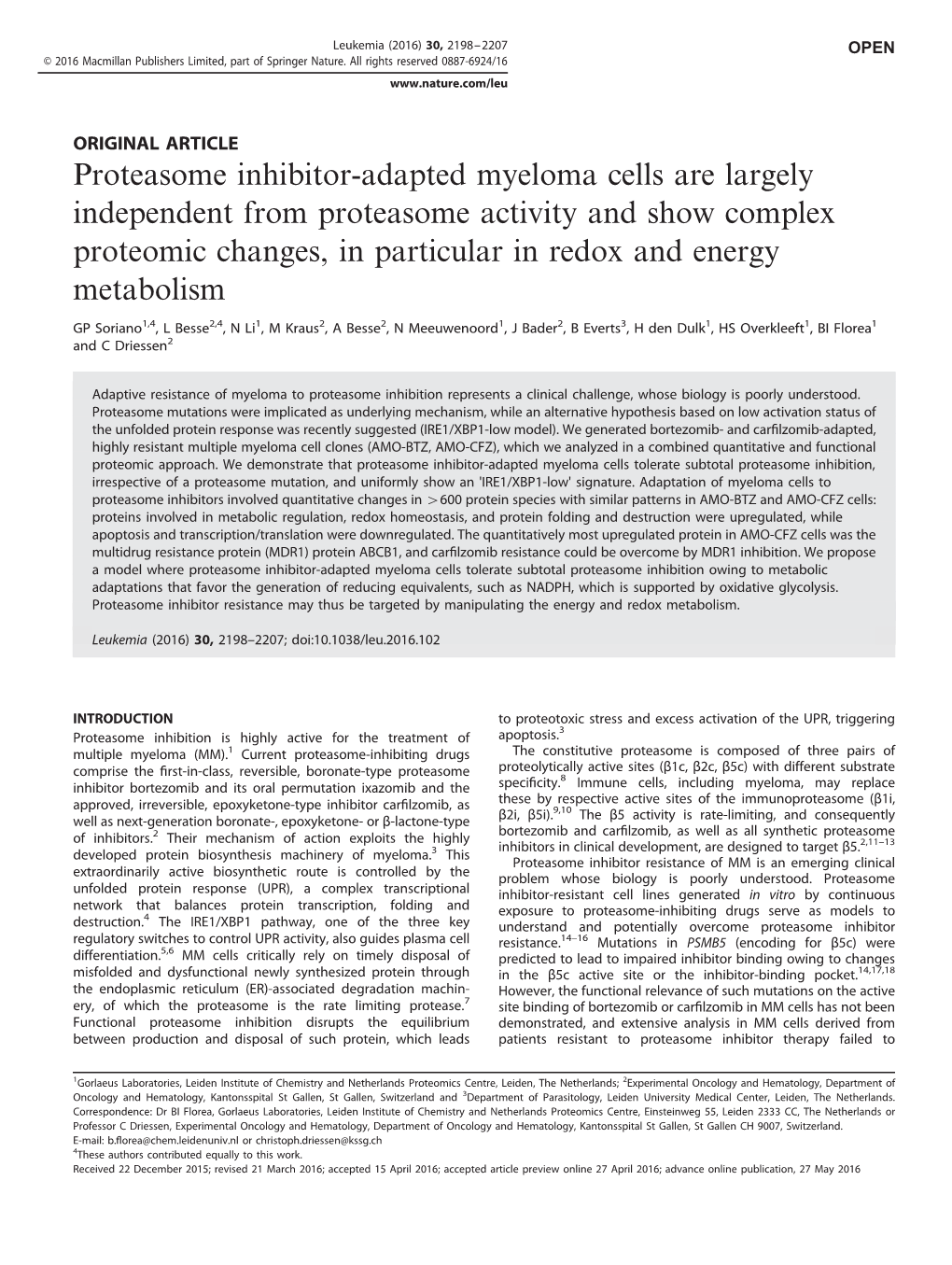 Proteasome Inhibitor-Adapted Myeloma Cells Are Largely