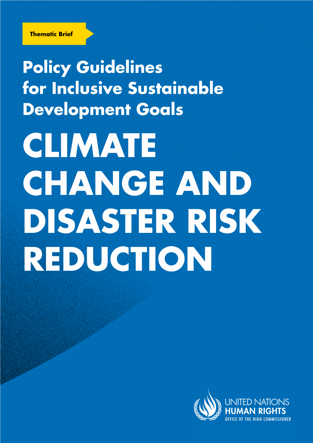 Climate Change and Disaster Risk Reduction