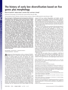 The History of Early Bee Diversification Based on Five Genes Plus Morphology