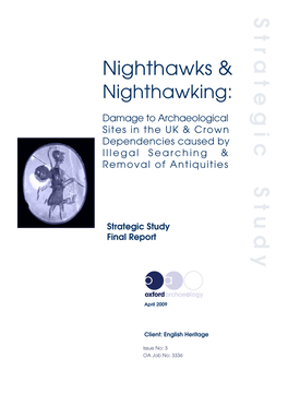 Nighthawks & Nighthawking