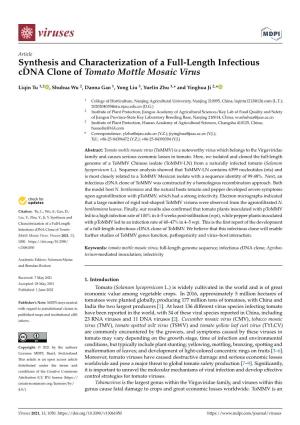 Synthesis and Characterization of a Full-Length Infectious Cdna Clone of Tomato Mottle Mosaic Virus