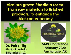 Rhodiola Rosea: from Raw Materials to Finished Products, to Enhance the Alaskan Economy