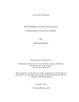 'Film Consciousness': a Formulation in Search of a Theory Par Santiago