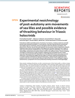 Experimental Neoichnology of Post-Autotomy Arm Movements Of