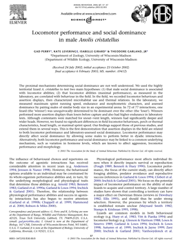 Locomotor Performance and Social Dominance in Male Anolis Cristatellus