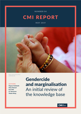 Cmi Report May 2019