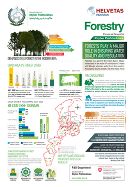 Forests Play a Major Role in Ensuring Water