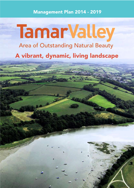 A Vibrant, Dynamic, Living Landscape a Vibrant, Dynamic, Tamar Valley AONB Management Plan 2014 - 2019