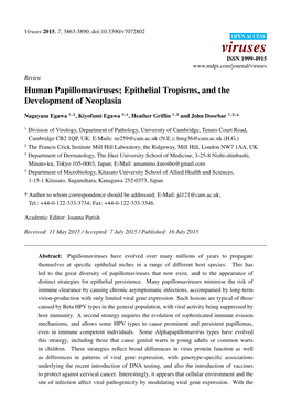Human Papillomaviruses; Epithelial Tropisms, and the Development of Neoplasia