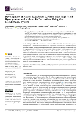 Development of Atropa Belladonna L. Plants with High-Yield Hyoscyamine and Without Its Derivatives Using the CRISPR/Cas9 System