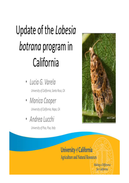 Update of the Lobesia Botrana Program in California