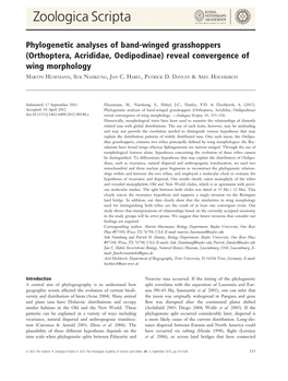 Orthoptera, Acrididae, Oedipodinae) Reveal Convergence of Wing Morphology