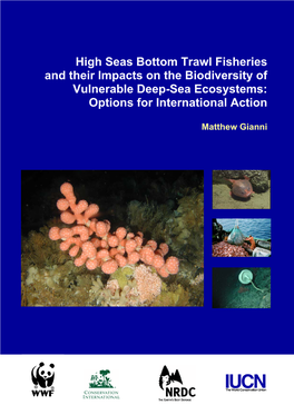 High Seas Bottom Trawl Fisheries and Their Impacts on the Biodiversity Of