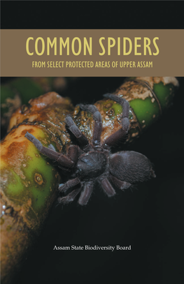 Spiders Book F.Cdr