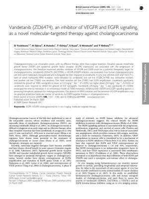 Vandetanib (ZD6474), an Inhibitor of VEGFR and EGFR Signalling, As a Novel Molecular-Targeted Therapy Against Cholangiocarcinoma
