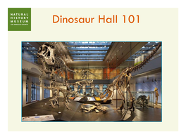 Dinosaur Hall