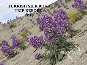 Turkish Silk Road Trip Report 2019