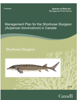 (Acipenser Brevirostrum) in Canada Shortnose Sturgeon