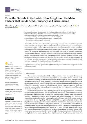 New Insights on the Main Factors That Guide Seed Dormancy and Germination