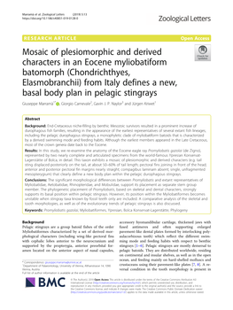 Chondrichthyes, Elasmobranchii) from Italy Defines a New, Basal Body Plan in Pelagic Stingrays Giuseppe Marramà1* , Giorgio Carnevale2, Gavin J