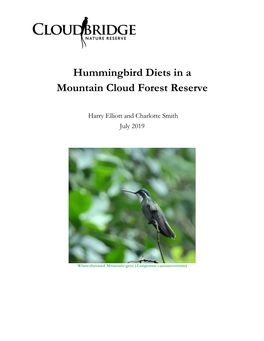 Hummingbird Diets in a Mountain Cloud Forest Reserve
