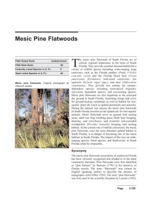 Mesic Pine Flatwoods