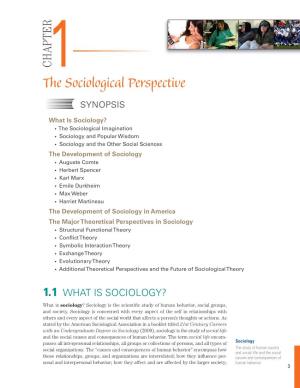CHAPTER the Sociological Perspective