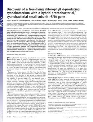Discovery of a Free-Living Chlorophyll D-Producing Cyanobacterium with a Hybrid Proteobacterial͞ Cyanobacterial Small-Subunit Rrna Gene