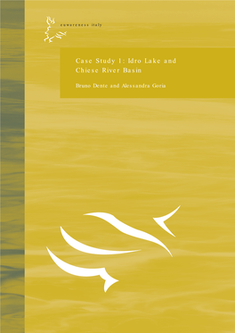 Case Study 1: Idro Lake and Chiese River Basin