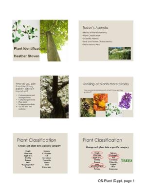 Plant Identification Presentation