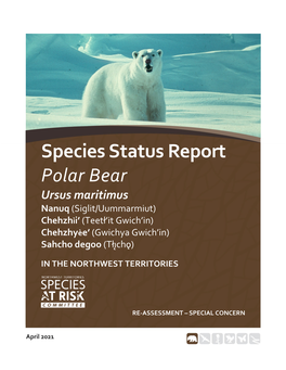 Status Report and Reassessment of Polar Bear in the NWT (2021)
