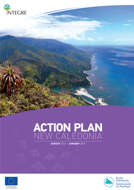 The Action Plan in New Caledonia