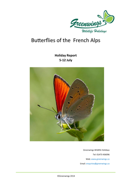 Butterflies of the French Alps