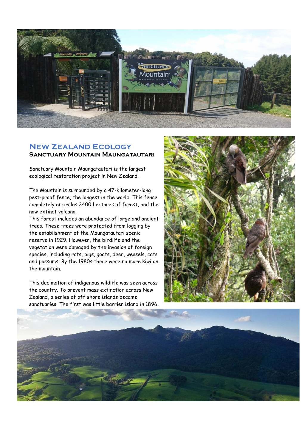 New Zealand Ecology Sanctuary Mountain Maungatautari