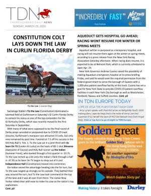 Constitution Colt Lays Down the Law in Curlin Florida