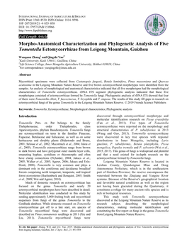 Morpho-Anatomical Characterization and Phylogenetic Analysis of Five Tomentella Ectomycorrhizae from Leigong Mountain, Guizhou