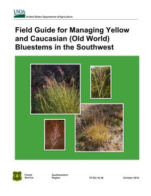 Field Guide for Managing Yellow and Caucasian (Old World) Bluestems in the Southwest